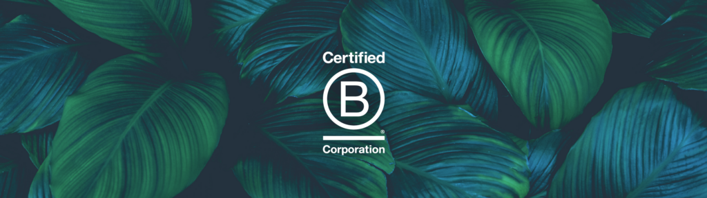 B Corp Certified Corporate Logo over leaf background.
