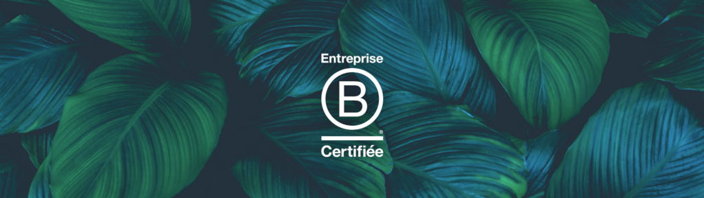 B Corp Certified Corporate Logo over leaf background.