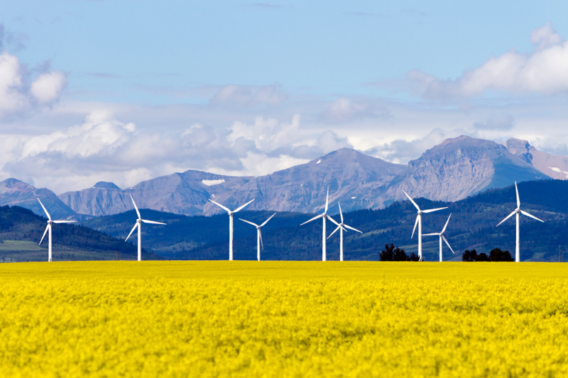 Production d'énergie renouvelable par éolienne dans un champ de canola près de Cowley et Pincher Creek, Alberta, Canada.