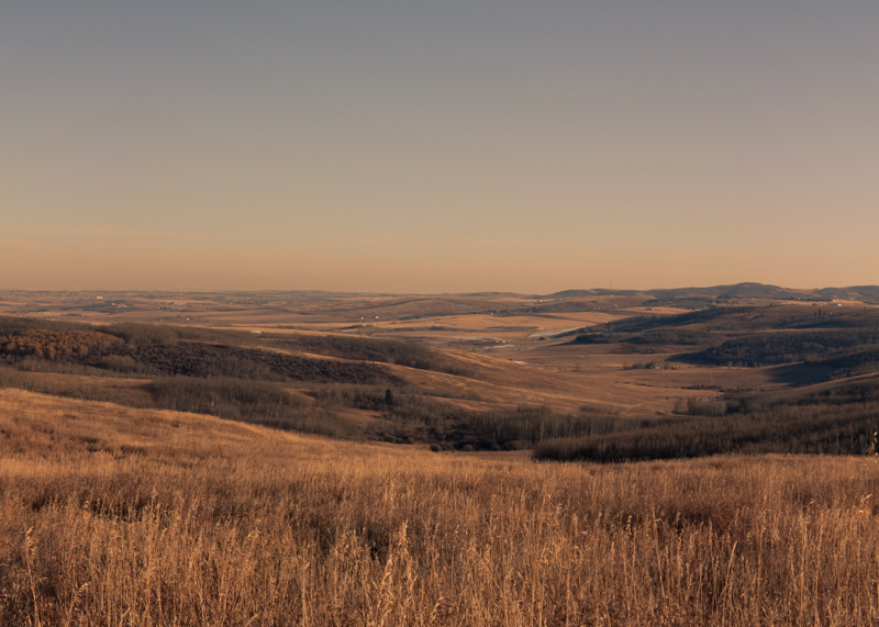 A panoramic landscape of foothills in the prairies,